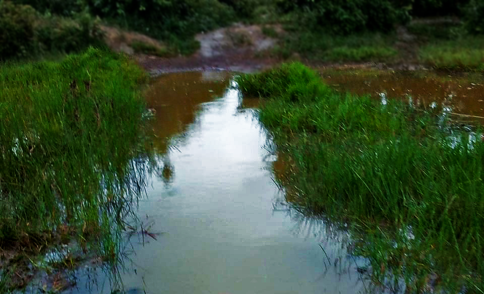 Chemin inondé par lequel les élèves doivent passer pour aller à l'école.