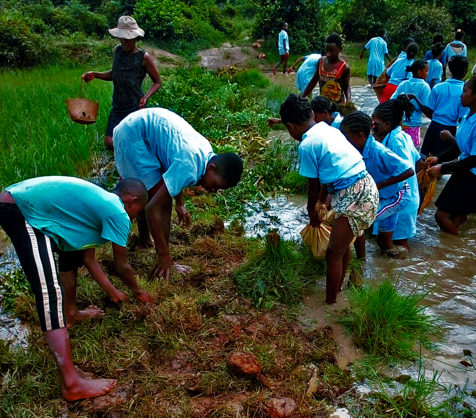 L&rsquo;histoire des collégiens qui se lancent dans la construction d’un pont